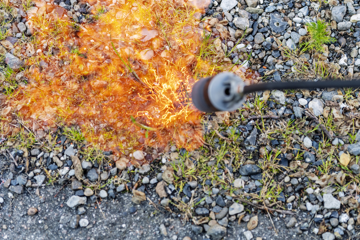 le desherbage thermique comment ça marche