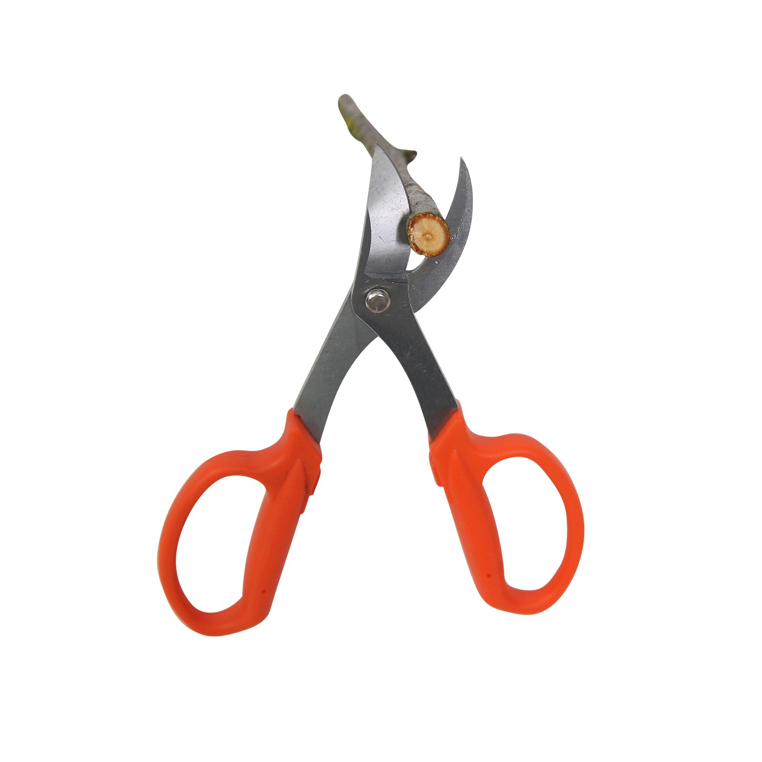 Ciseaux du jardinier – Image 2