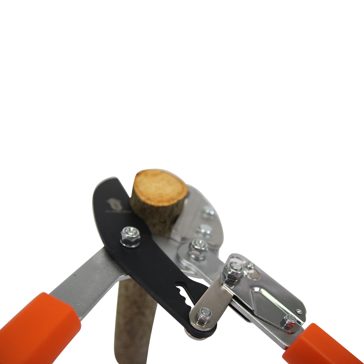 Coupe-Branche Télescopique à Crémaillère – Image 3