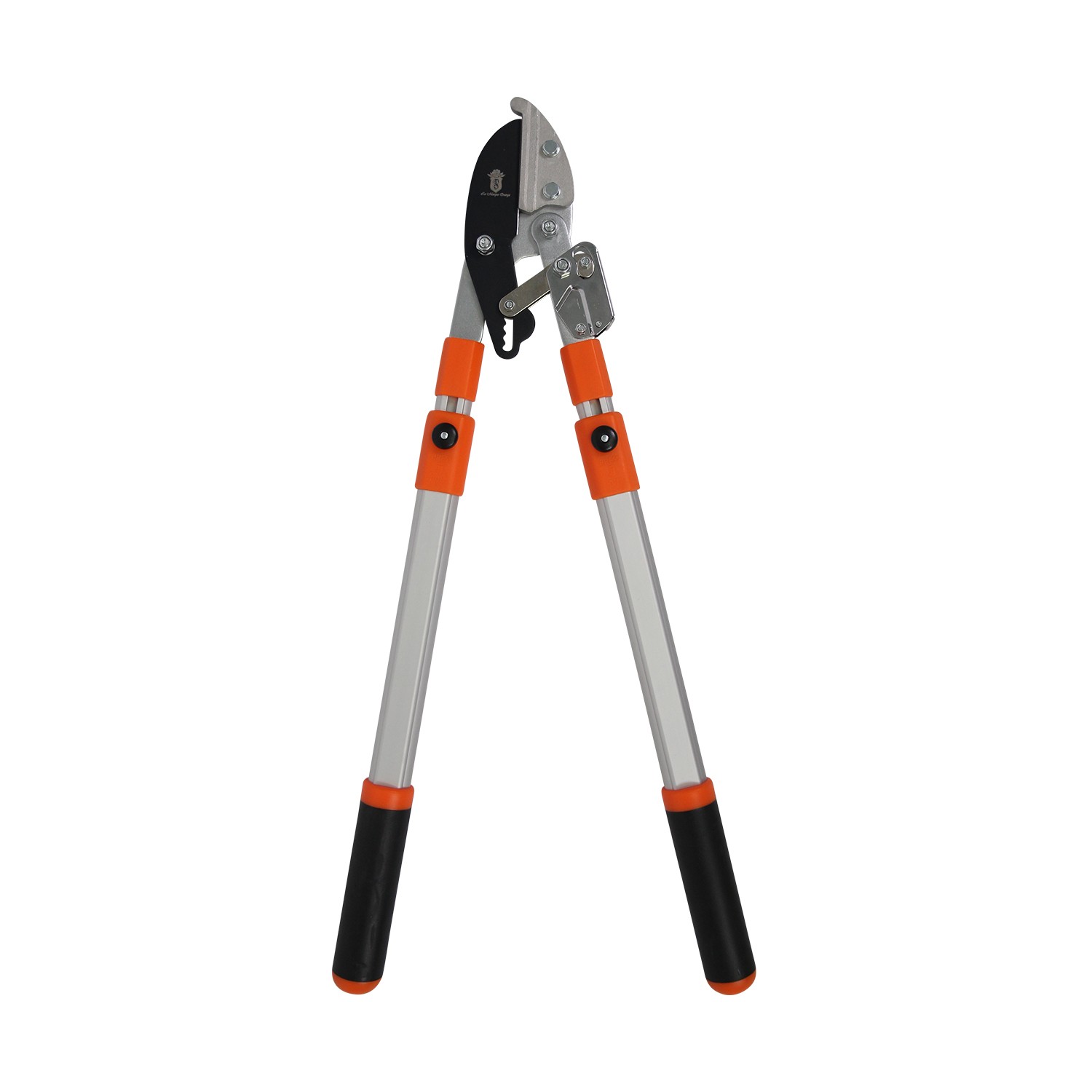 Coupe-Branche Télescopique Crémaillère + Sécateur Galet + Lames – Image 2