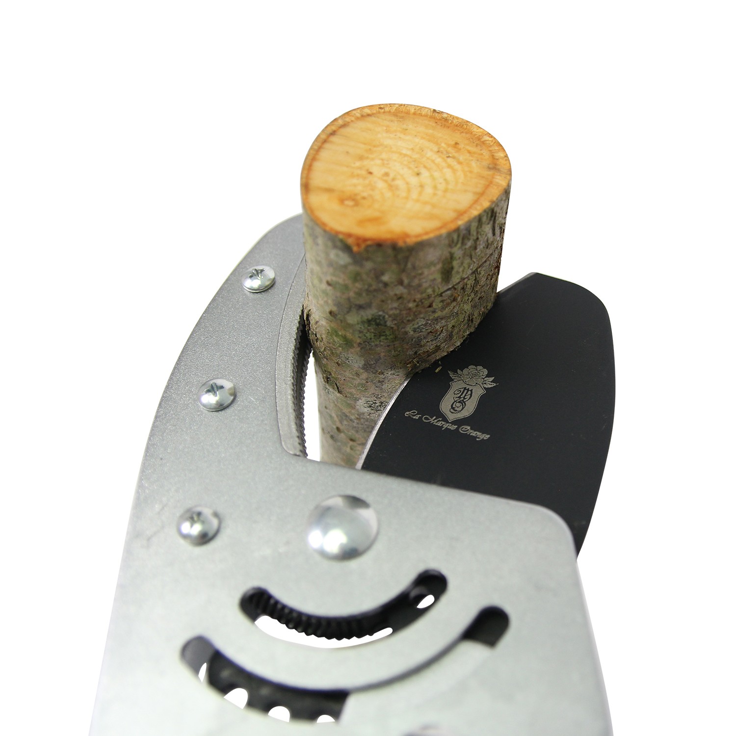 Coupe branche Télescopique Jimbo à Crémaillère – Image 3