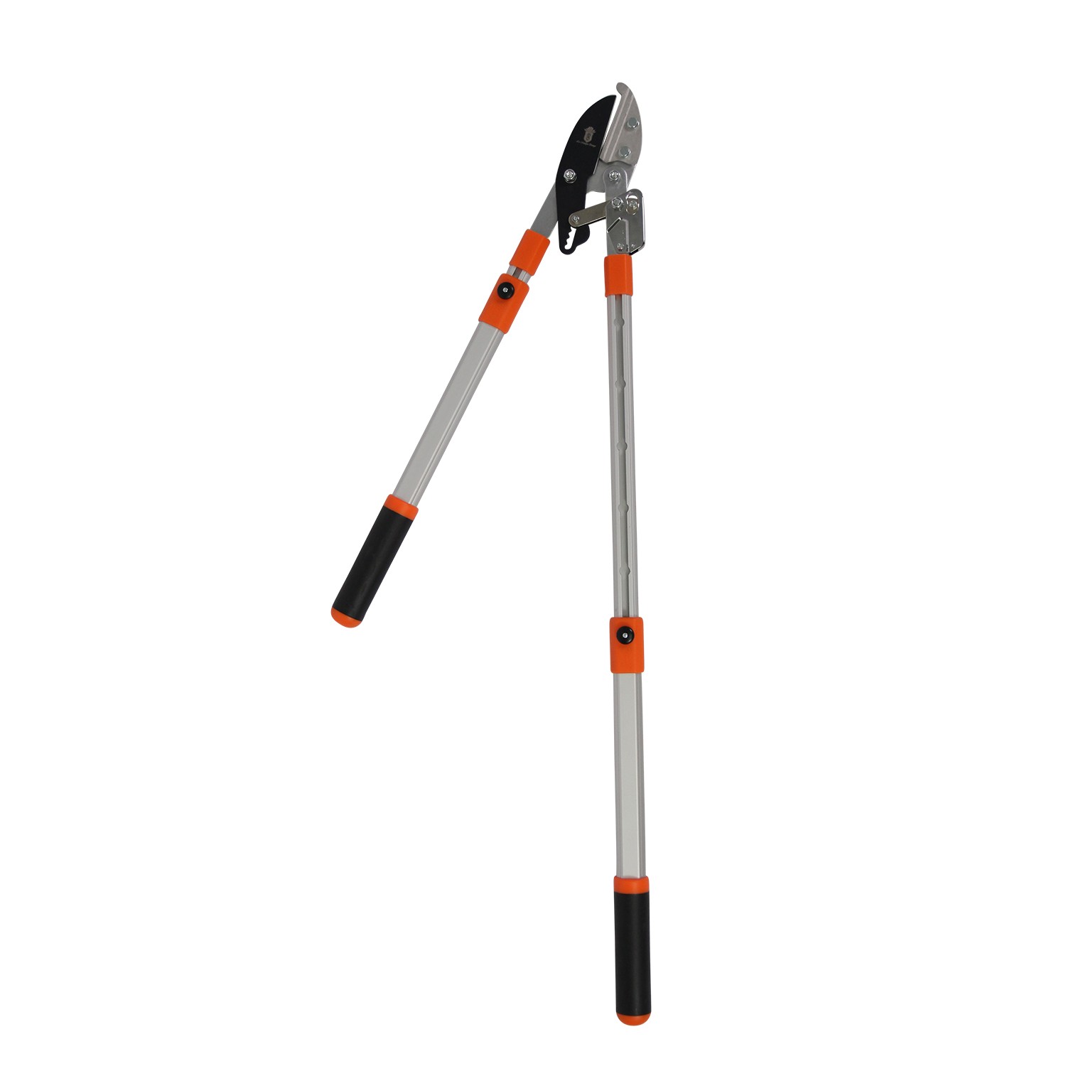 Coupe-Branche Télescopique à Crémaillère – Image 2