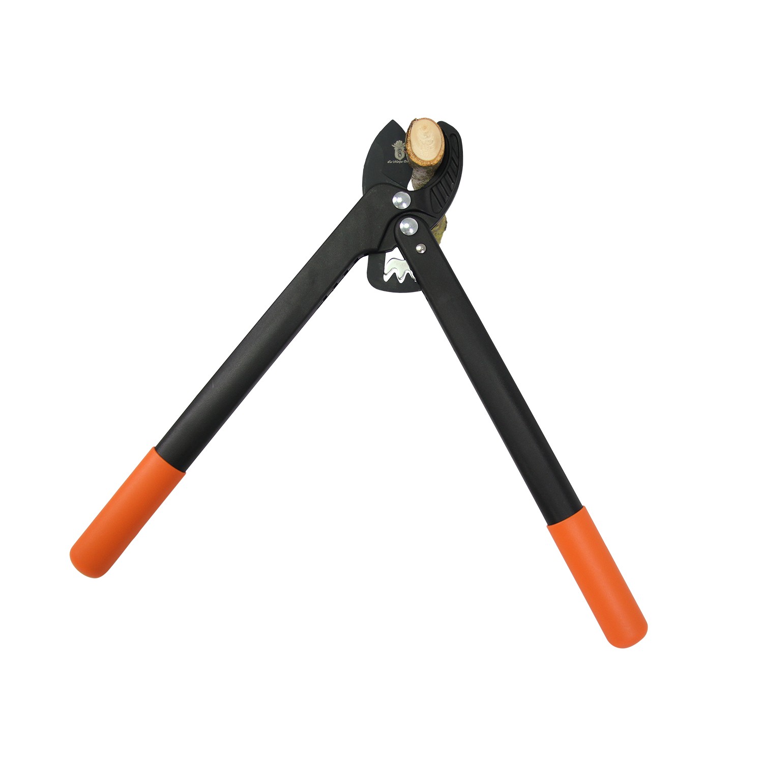 Coupe branche fibre + sécateur à galet – Image 3